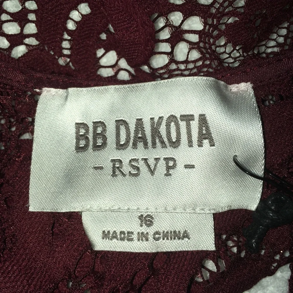RSVP by BB Dakota Shaken Not Stirred Dress NWT 16